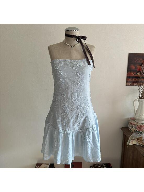 Princess Polly Dresses & Skirts - Princess Polly blue floral embroidered drop waist dress